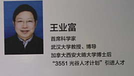 王业富