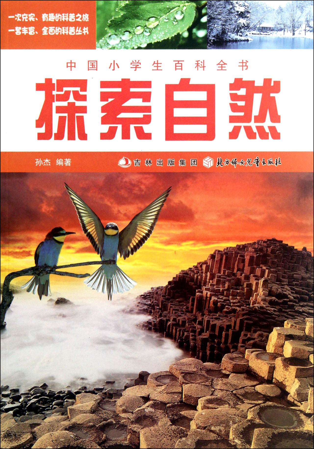 中国小学生百科全书:探索自然