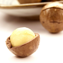 澳洲坚果,别名:昆士兰栗,澳洲胡桃,夏威夷果,昆士兰果