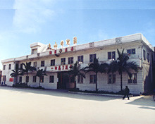 (广东省东莞市企石镇东山村)