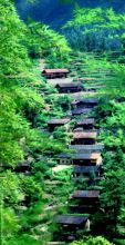 1起源编辑 畲族起源于东夷,后来南迁至广东潮州凤凰山一带,繁衍生息.