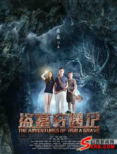 《黄金大劫案》《八仙前传》《情定三生》《神雕侠侣》等多部电视剧的