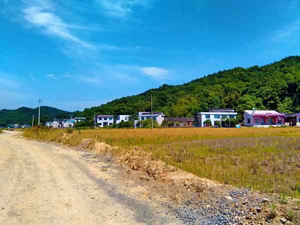 宁乡市道林镇,位于道林镇中部偏西,东邻河东新村,南接金华村,西与大屯