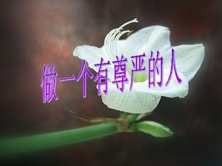 人才会节制自己的行为,不做庸俗卑贱的事情,有尊严的生活
