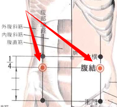 腹结穴位位置图及作用
