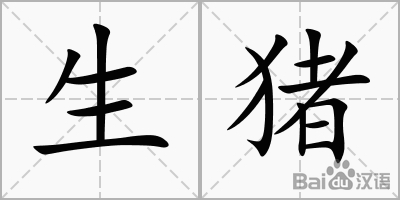 生猪