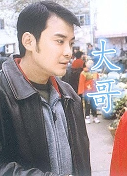 一部反映普通百姓生活的二十集电视连续剧《大哥》从2002年5月29日起