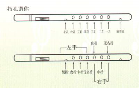 葫芦丝怎么吹图解