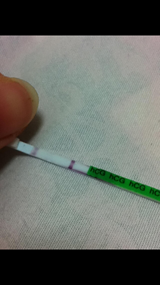 昨晚验孕试纸,这样算是怀孕了么?