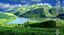 螺丝壳山