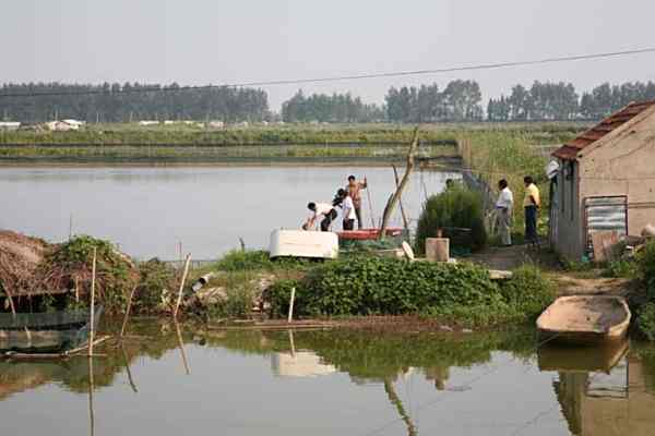 石集乡