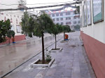 赵县石塔中学