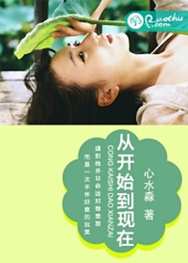 从开始到现在(若初文学网小说)
