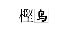 樫鸟_百度百科