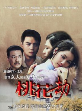 桃花劫(2011年内地电视剧)_百度百科