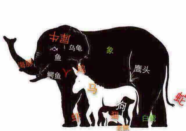 考考各位眼力 图中几种动物?