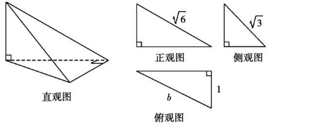 如图所示是一个三棱锥的直观图和三视图 其三视图均为直角三角形 求b