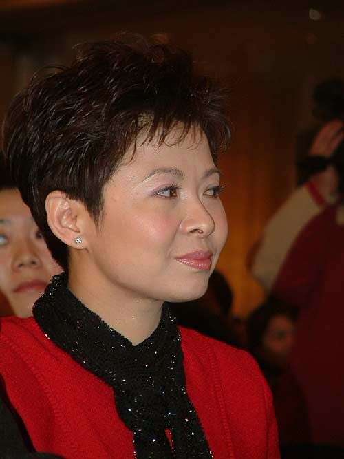 董文华 