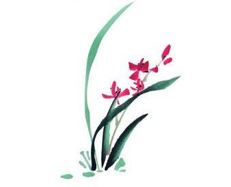 怎样画兰草