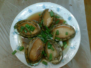 什么是鲍鱼,什么样子?